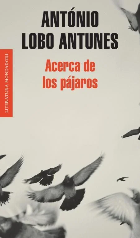 Acerca de los Pájaros - Guía de Ornitolología y Naturaleza