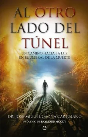 Al Otro Lado del Túnel - Novela de Misterio y Supervivencia Psicológica