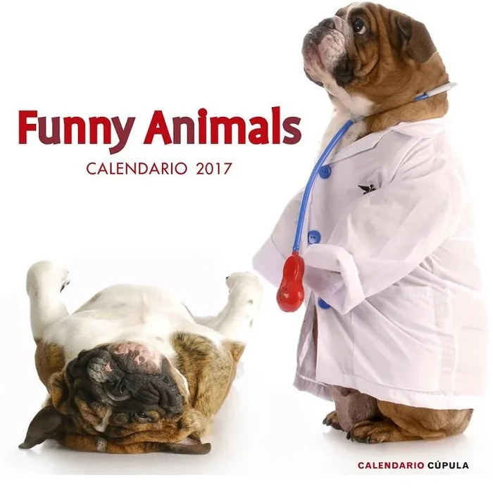 Calendario Funny Animals 2017 - Agenda Anual con Ilustraciones Divertidas