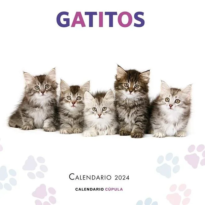 Calendario Gatitos 2024 - Calendario mural con fotos de gatos