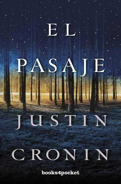 El pasaje - Novela gráfica de arte urbano y misterio