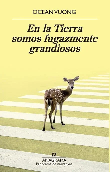 En la Tierra somos fugazmente grandiosos - Novela Juvenil de Romance