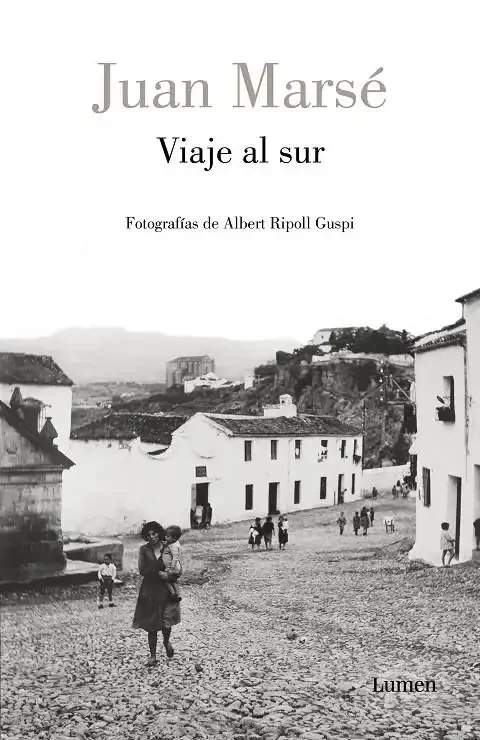 Viaje al sur - Novela de ficción literaria y narrativa actual